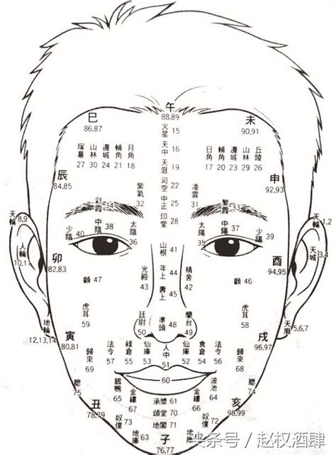 歲數面相年齡|【面相歲數】面相分析11個揭童年運 